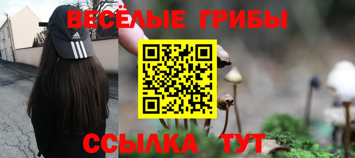 Галлюциногенные грибы GOLDEN TEACHER  Вход с VPN  Туапсе  Галлюциногенные грибы Magic Shrooms 